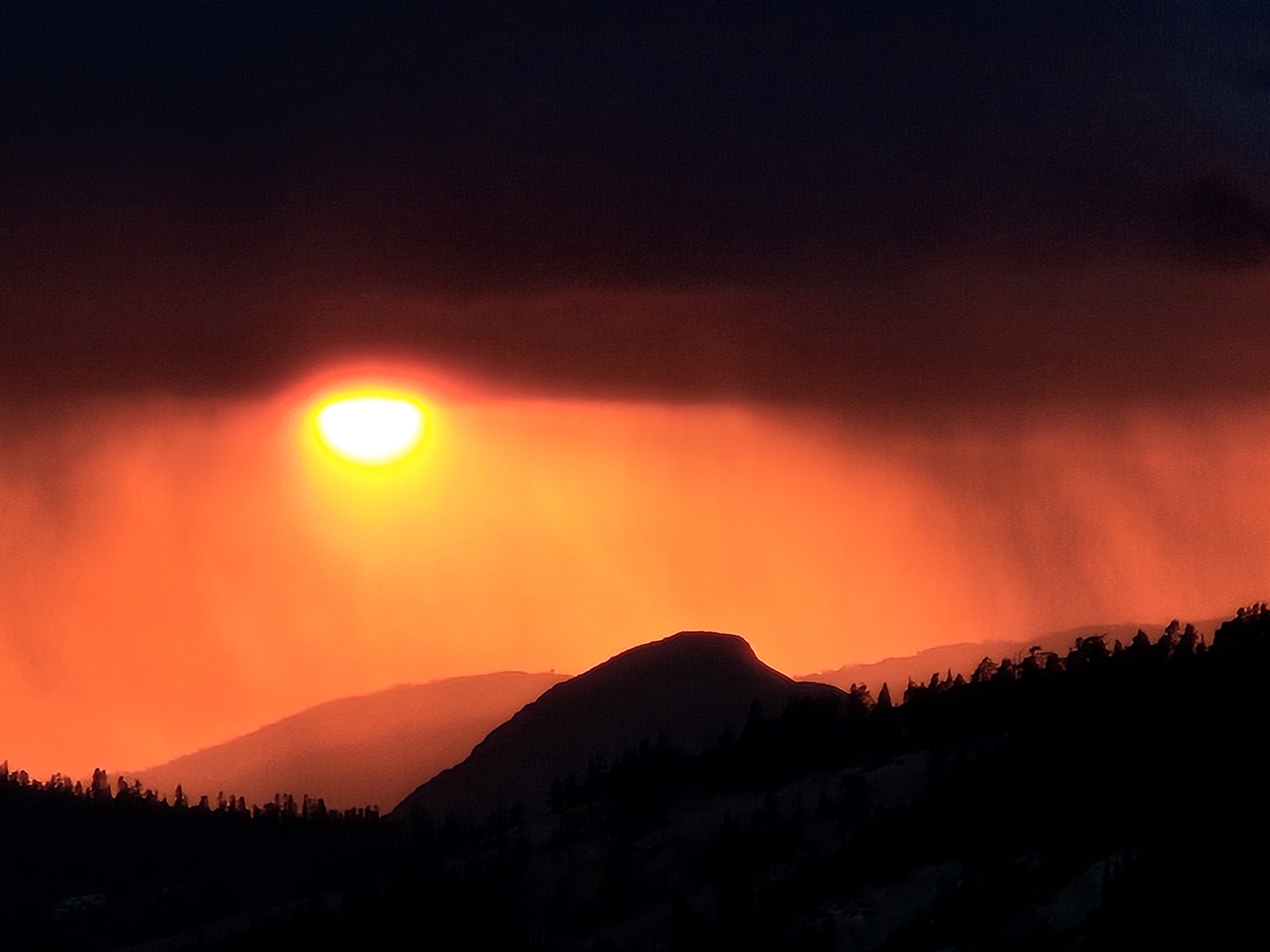 Sunny Side Up - Norden, California